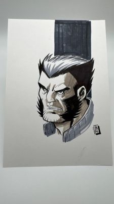 David Baldeon - 1 Pencil drawing - X-Men - X-men Wolverine | Catawiki