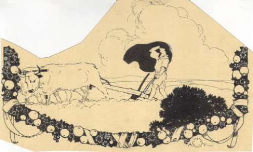 Aleardo Terzi | Illustrazione | Spazio Papel