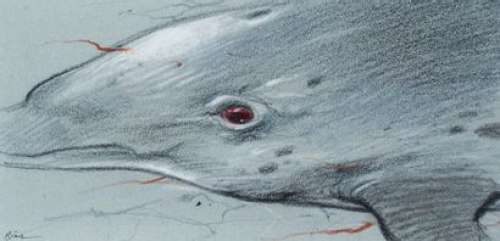 Enki Bilal (Né En 19... | Animal’z 5B Crayon gras et rehauts de pastel sur papier... | Tessier Sarrou