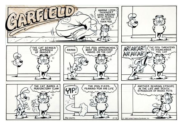 Jim Davis | Garfield Sunday Strip (Garfield Looks Thin Next To a Big Man! Garfield Defeats the Wild Beast: Odie! Lol!) 10-16-1988 | Romitaman