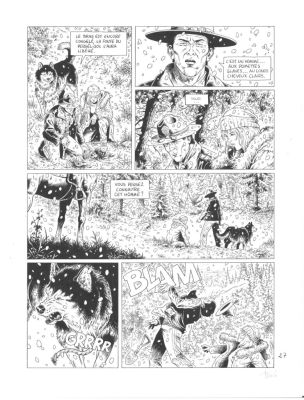 Tieko. Alaska p. 27 | FieldArts