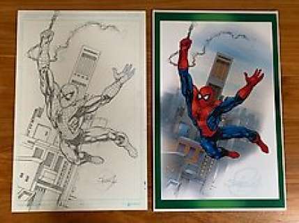 Spider-Man - Potlood tekening en origineel schilderij Spiderman - Scott Rosema - (2010)