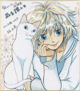 Akane Wakita Hand-Drawn Color Shikishi "There’s No Cat" Looking for Nagi | Mandarake (Big Web)