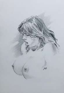 Andrea Jula - 1 Original colour drawing - Druuna | Catawiki