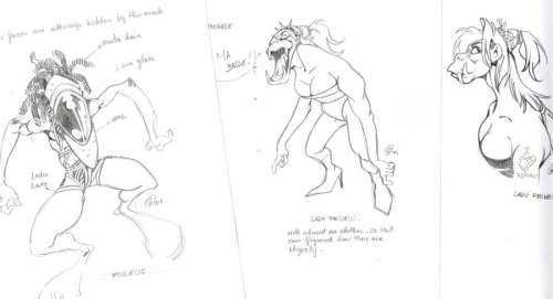 CRISSE, Didier | Sadde