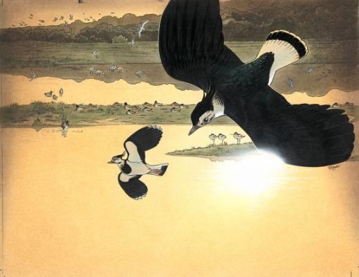 Frank Pé | Illustration originale pour un calendrier | Daniel Maghen