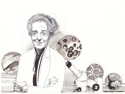 Aldo Di Gennaro | Rita Levi Montalcini | Krazy Art Gallery