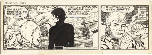 Fran Matera - Legend of Bruce Lee, Daily Strip, 12/28/1982