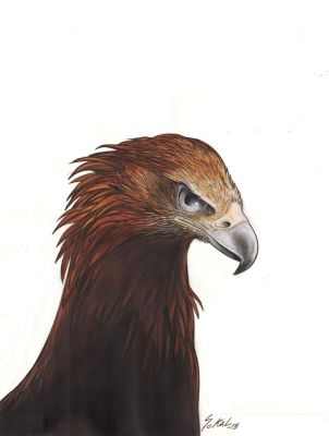 Sokal Benoît | Couverture de KRAA Tome 3 La colÃ¨re blanche de l’orage par Benoit SOKAL | Galerie Napoléon