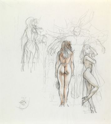 Lot 94 - Serpieri Paolo Eleuteri - "Druuna", anni 2000 | Urania Casa d’Aste