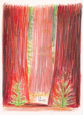 Dominique Corbasson | Séquoias | 2DGalleries