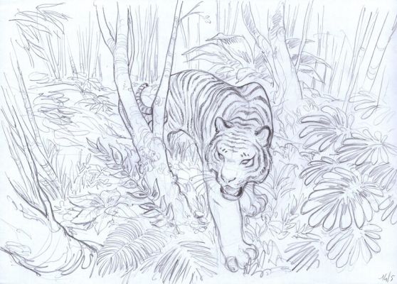 Federico Bertolucci, Frédéric Brrémaud (Scénariste) | Love #1 - Le tigre | 2DGalleries