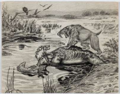 Roy G. Krenkel - Sabretooth Tiger Battle Illustration Original Art (1935). | Heritage