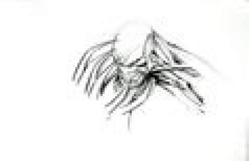 Monster Sketch by Dale Keown | mycomicshop.com