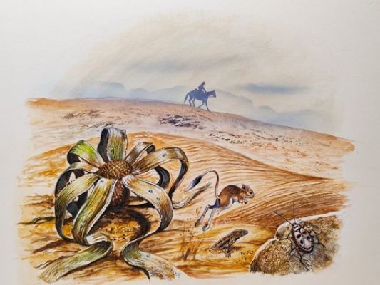 TAVOLA ORIGINALE ILLUSTRAZIONE ROMANZO FAR WEST HIDALGO, 1980 - A. BAITA | eBay Europe