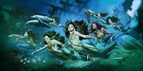 Steve Ferris | Ferris - Seven Sirens | Russ Cochran