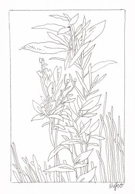 Nylso | 2025 - Sans titre | Huberty Breyne Gallery