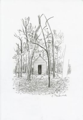 Catherine Meurisse | LE CLAN DE WALDEN – ILLUSTRATION ORIGINALE REF 07 | Galerie Barbier