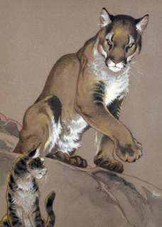 Frank P | Félineries Illustration couleur au pastel et à la gouache, publiée | Cornette de St Cyr