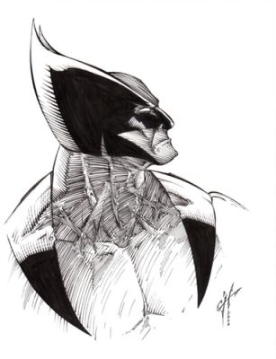 Wolverine, ORIGINAL, art, B/W, drawing, illustration by Calvin Henio. | eBay US (Buy It Now)