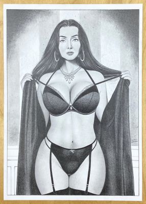 Morticia Addams Pin-Up | Stuart Ng Books