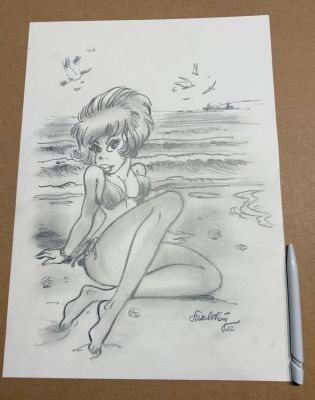 Walthery, François - 1 Original drawing - Natacha - à la plage - 2022 | Catawiki