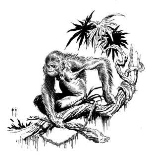 307: Frazetta Canaveral illo Tarzan at the Earth’s Core | Russ Cochran