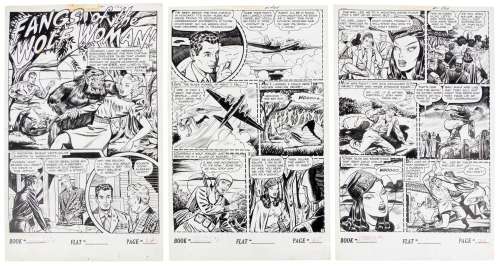 Original Art * BOB WEBB & IGER SHOP * Fangs of the Wolf Woman" * STRANGE MYSTERIES #1 | PBA Galleries