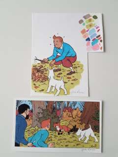 Rodier, Yves - 2 Dessins originaux - Essais de couleur - Tintin, Milou et le capitaine | Catawiki