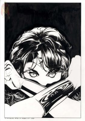 Michael Maikowsky | Wonder Woman Cover Recreation By Michael Maikowsky After Adam Huhges | ComicArtFans Classifieds