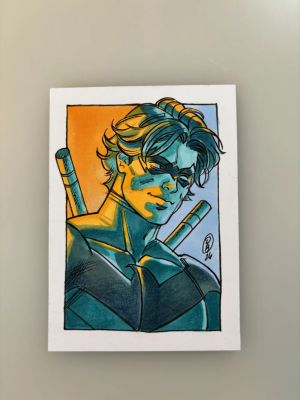 Danica Brine | Nightwing Sketchcard | Art by Canucks