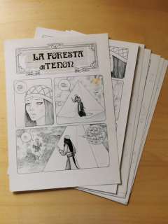 Ugolino Cossu E Ferrandino | Lanciostory - 12x tavole originali - Storia Completa "La foresta di Tenon" - Page volante - Exemplaire unique | Catawiki