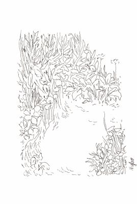 Nylso | 2025 - Sans titre | Huberty Breyne Gallery