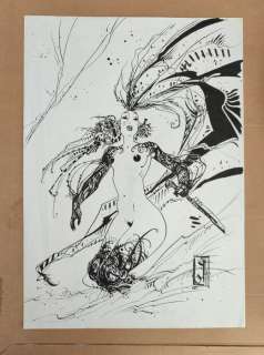 Ledroit, Olivier | Ledroit, Olivier - Dessin original - Amazone barbare - (1994) | Catawiki