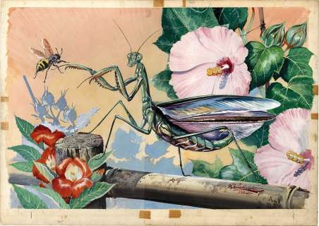 Shigeru Komatsuzaki’s hand-drawn color illustration "Ookmantis" poster included | Mandarake (Big Web)