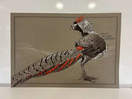Frank Pé | Frank Pé - Dessin original couleur - Le Faisan de Lady Amherst | Catawiki