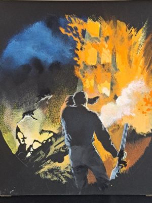 Thole, Friedman - 1 Original cover - La Notte del Furore - 1973 | Catawiki